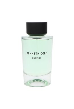 Kenneth Cole The Collection Energy Edt 100ml