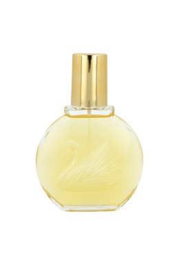 Gloria Vanderbilt Vanderbilt Edt 100ml