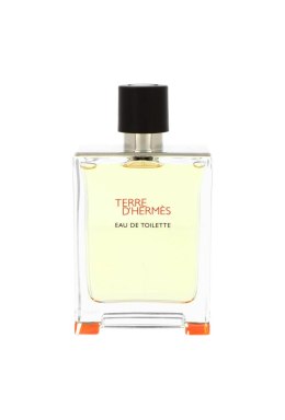 Tester Hermes Terre D`Hermes Edt 100ml